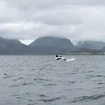 Lägenhet Fishermans Rorbu 3 - Lofoten
