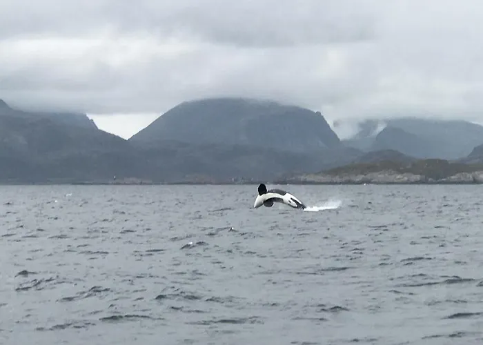 Appartement Fishermans Rorbu 3 - Lofoten